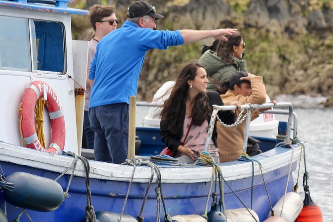 Howth Coastal Boat Tour (Ireland's Eye Ferries 50 mins trip) - Getting to Howth and finding the right pier fast