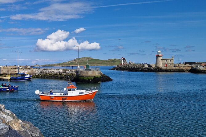 Howth Coastal Boat Tour (Ireland's Eye Ferries 50 mins trip) - Wildlife highlights: seals, seabirds, and the seasonal surprises