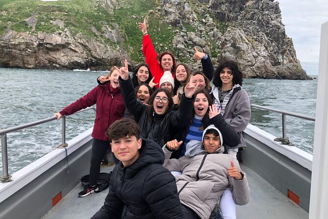 Howth Coastal Boat Tour (Ireland's Eye Ferries 50 mins trip) - When the sea gets choppy: comfort tips that actually help