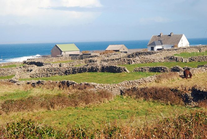Inis Mór (Aran Islands) Day Trip: Return Ferry from Rossaveel, Galway - Value and “why this works” on an Aran Islands day trip