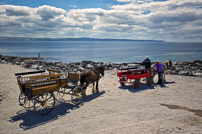 Inis Mór (Aran Islands) Day Trip: Return Ferry from Rossaveel, Galway - Weather and sea conditions: how to stay comfortable when the Irish coast has plans