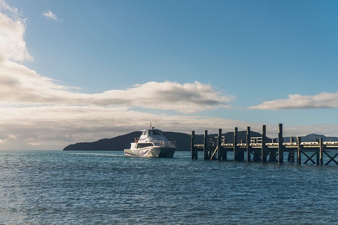 InterIslander Ferry - Picton to Wellington - Arriving in Wellington Harbour: What the View Sets Up