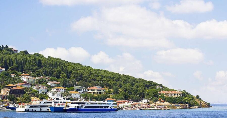 Istanbul: Round-Trip Ferry Tickets to the Princes' Islands - Büyükada on your own: how to structure the day