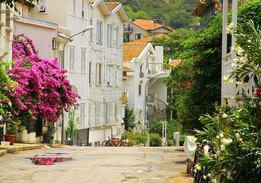Istanbul: Round-Trip Ferry Tickets to the Princes' Islands - Trotsky’s exile ruins on Hamlaci Street 4