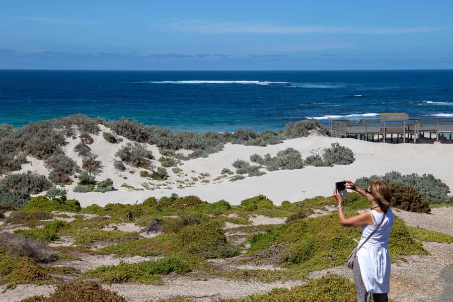 Kangaroo Island Full Day Experience by Ferry Including Lunch - Price and Value at $267: Is It Worth It?