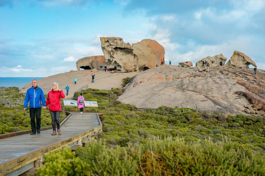 Kangaroo Island Full Day Experience by Ferry Including Lunch - Seal Bay Conservation Park: Guided Sea Lions on a Real Beach