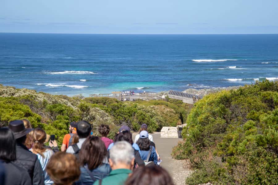Kangaroo Island Full Day Experience by Ferry Including Lunch - The 2-Course Lunch in the Bush: Refuel Without Losing the Day