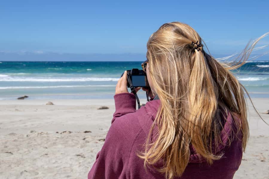 Kangaroo Island Full Day Experience by Ferry Including Lunch - Wildlife Sanctuary Time: Koalas, Kangaroos, and the Most Popular Extras