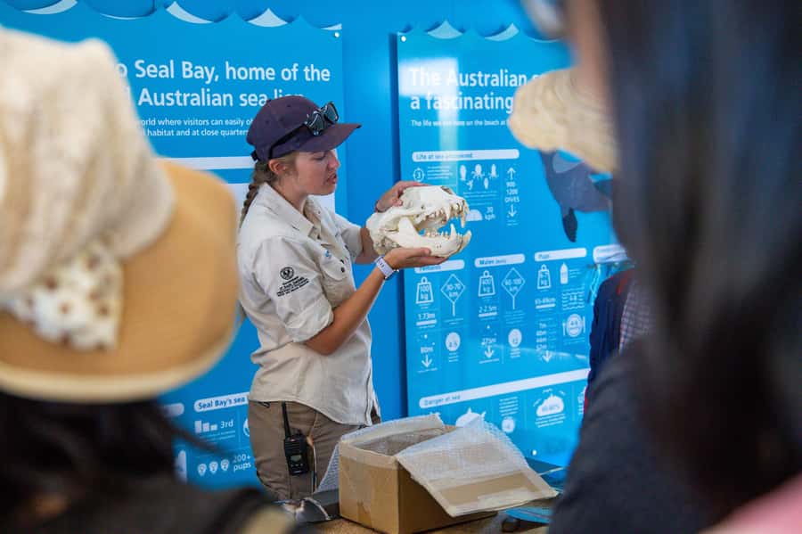 Kangaroo Island Full Day Experience by Ferry Including Lunch - Guide Commentary That Turns Stops Into Stories