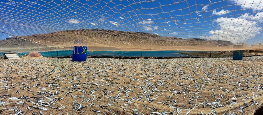 Lanzarote: Return Ferry to La Graciosa with Bus Pickup - Marine reserve appeal: how to make it meaningful
