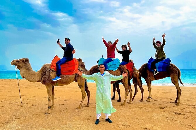 Luxury day in Tangier from Tarifa including ferry & camel ride …. - Key highlights to watch for
