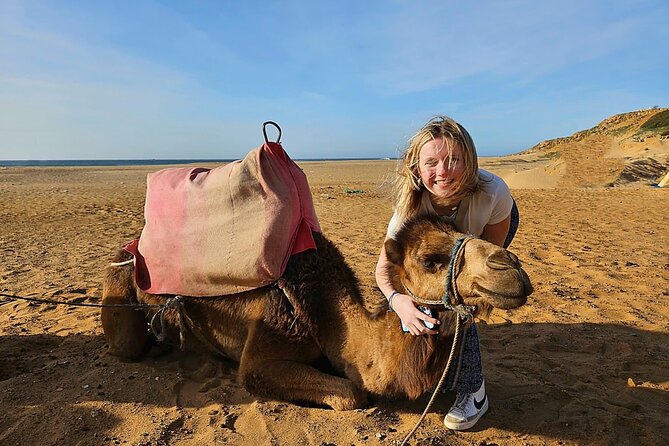 Luxury Malaga to Tangier Day Trip: Transfer, ferry, camel & Souks - The luxury day trip flow: ferry comfort plus real touring time