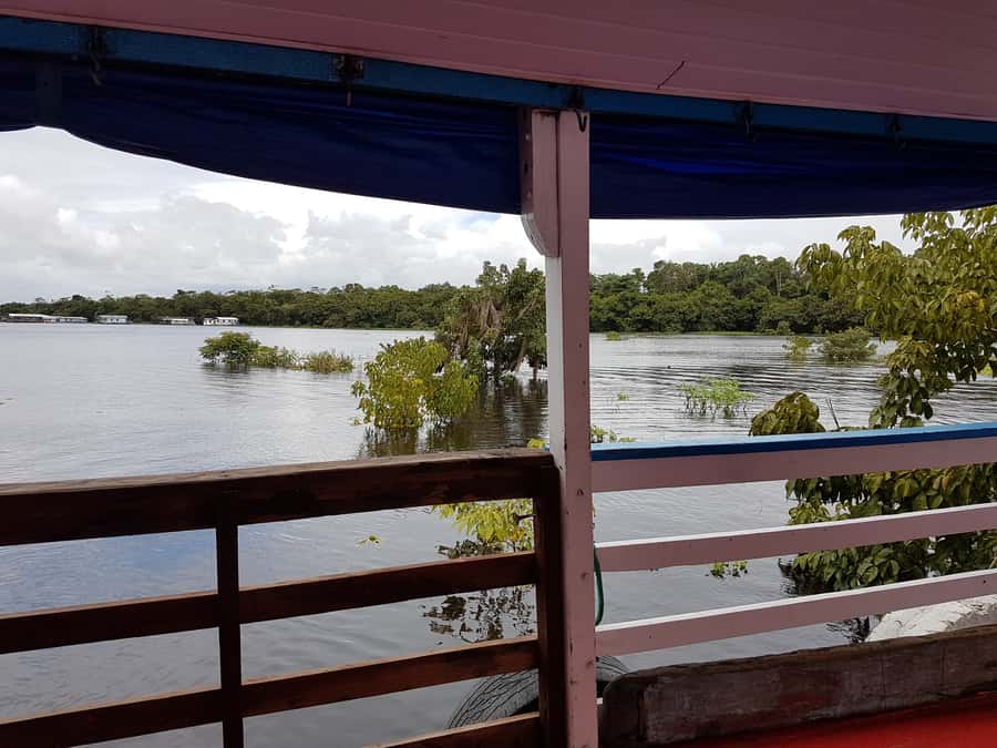 Manaus to Santarém: 36-Hour Ferry on the Amazon - Key Points You’ll Care About