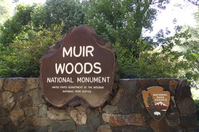 Muir Woods and Sausalito (Return by Bus or Ferry) - Bike tour upgrade: fun when it works, caution when winds rise