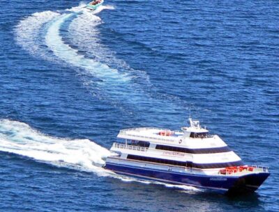 Newport Beach: Ferry Ticket to/from Catalina Island - Choosing one-way vs round-trip: set your own day