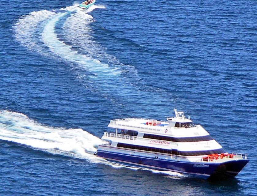 Newport Beach: Ferry Ticket to/from Catalina Island - Choosing one-way vs round-trip: set your own day