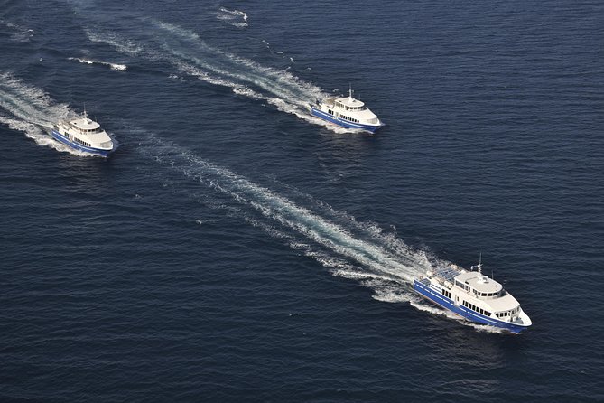 Nice to St Tropez Ferry Ticket and Cruise - Beaches, Water Sports, and the Not-So-Relaxing Part (Getting There)