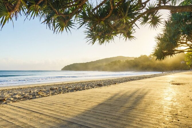 Noosa Sightseeing Adventure - Ferry Cruise, Ride and Kayak - Noosa River ferry cruise: resting your legs while learning the system