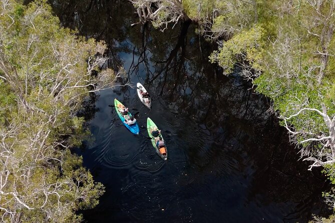 Noosa Sightseeing Adventure - Ferry Cruise, Ride and Kayak - Laguna Lookout: the five-mountain panorama that sets the tone