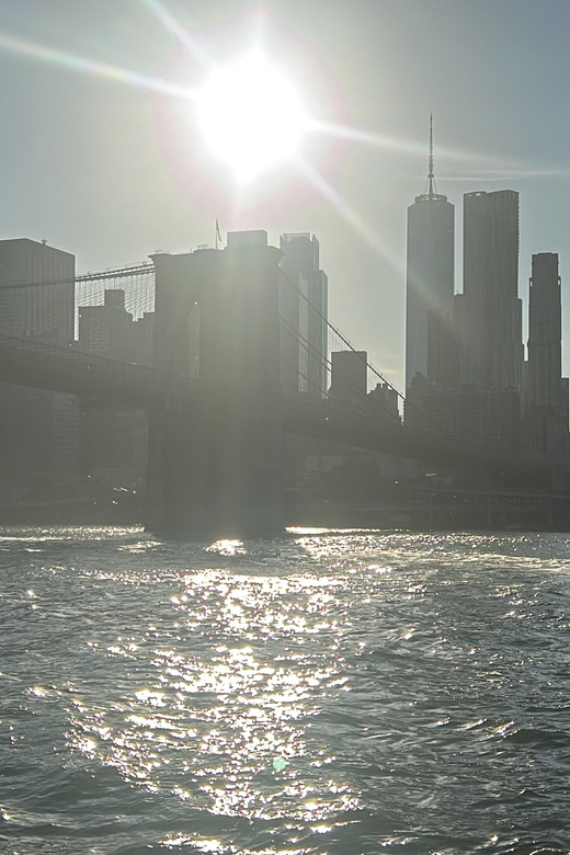 NYC Views from Brooklyn Bridge & DUMBO with Ferry Tickets - Choosing morning vs sunset: light, crowds, and comfort
