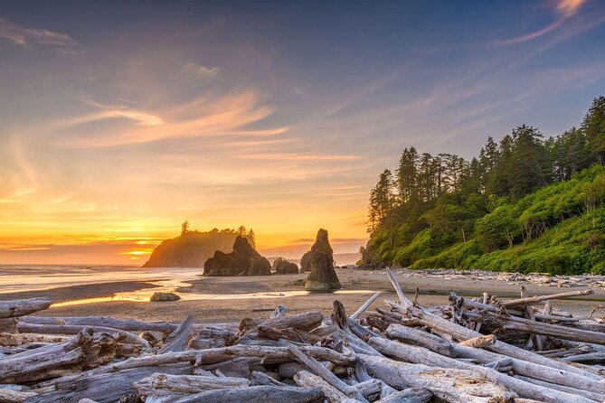 Olympic National Park Small Group Day Tour w/Scenic Ferry 2CanGo - Key points before you go