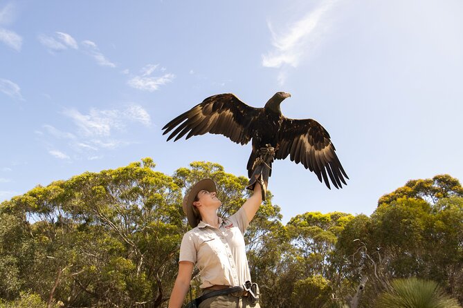 One Day Kangaroo Island Sip & See tour with return ferry transfers from Adelaide - A 17-hour Kangaroo Island day trip: doable, but plan like it matters