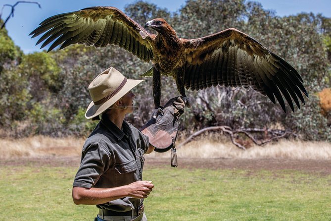 One Day Kangaroo Island Sip & See tour with return ferry transfers from Adelaide - Adelaide pickup and the ferry rhythm: what to expect from 6:45am onward