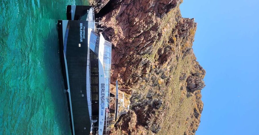 Peniche: Berlengas Island Round-Trip Ferry with Island Stop - Key highlights you’ll actually care about