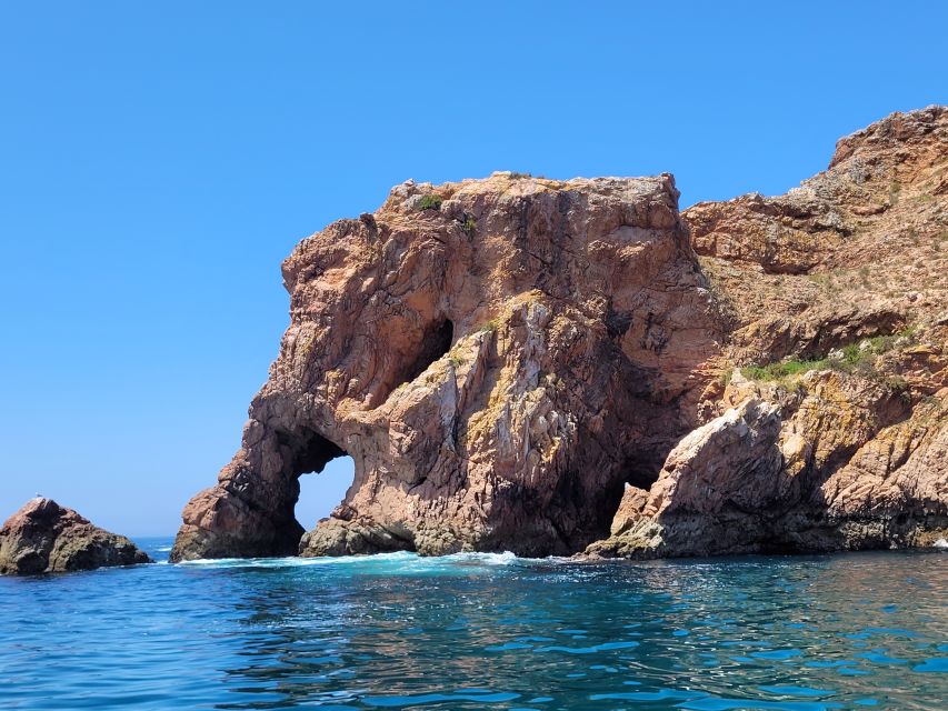 Peniche: Berlengas Island Round-Trip Ferry with Island Stop - São João Baptista Fort: The Most Photogenic Stop (with a Caveat)