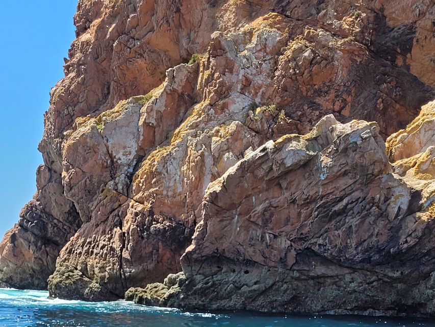 Peniche: Berlengas Island Round-Trip Ferry with Island Stop - Praia do Carreiro do Mosteiro: The Only Safe Beach Swim