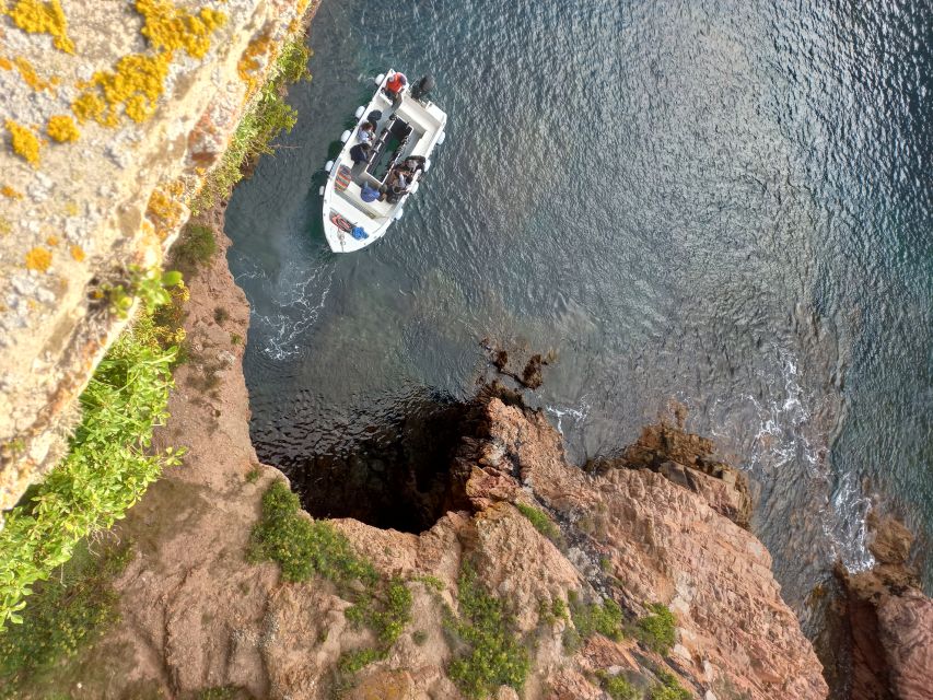 Peniche: Berlengas Island Round-Trip Ferry with Island Stop - Peniche Departure at Berlengatur: Finding Stand 3 Without Stress
