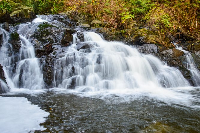 Photography, Hiking & Ferry to Bowen Island - Price and logistics that actually matter for your day