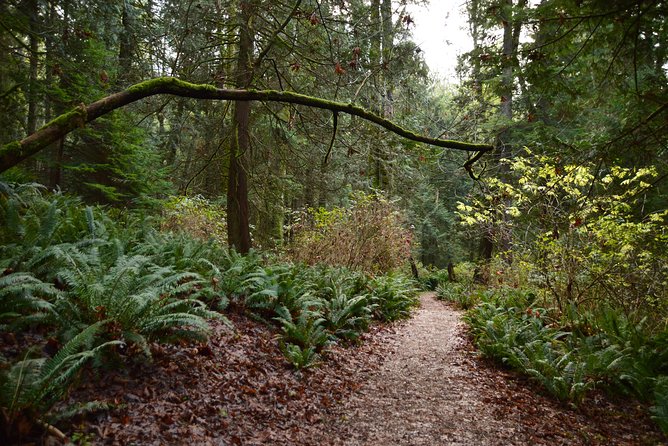 Photography, Hiking & Ferry to Bowen Island - The ferry to Bowen Island: the real warm-up for your camera