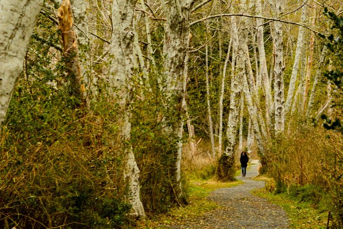 Photography, Hiking & Ferry to Bowen Island - The Killarney Lake area hike: old-growth forest, waterfalls, and wildlife odds