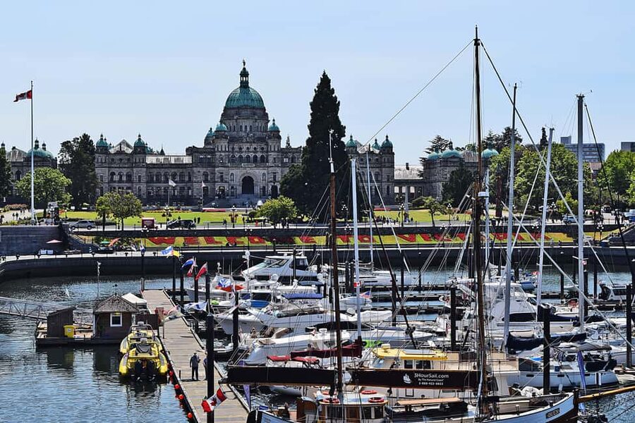 Pickle Pub Crawl: Ferry Rides and Appetizers - Who this suits best (and who should skip it)