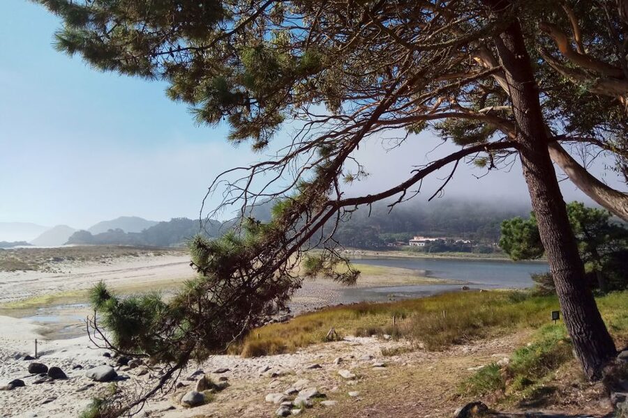 Portonovo: Ferry to Cies Islands & Rodas Beach - Key highlights worth planning around