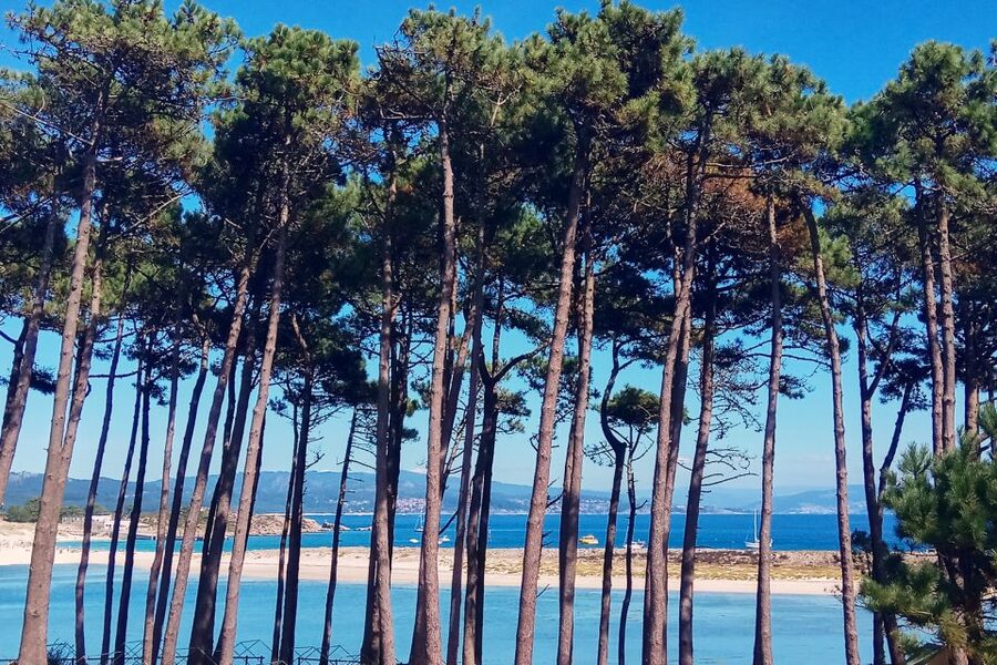 Portonovo: Ferry to Cies Islands & Rodas Beach - Ons time: beaches to relax and coastal paths to walk