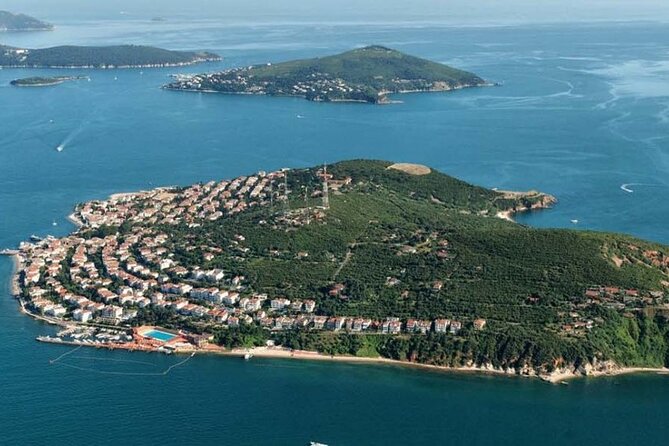 Princess Island Tour with Lunch & Ferry Ride - The Büyükada Arrival: Carriage Ride and Island Time