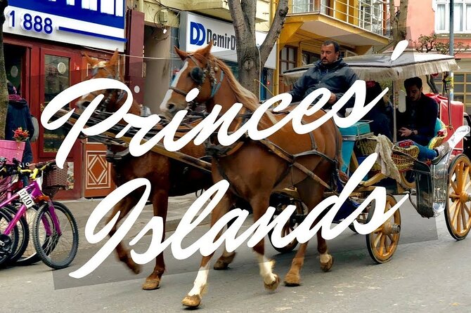 Princess Island Tour with Lunch & Ferry Ride - Price and Value: Is $32 Reasonable for This Day?