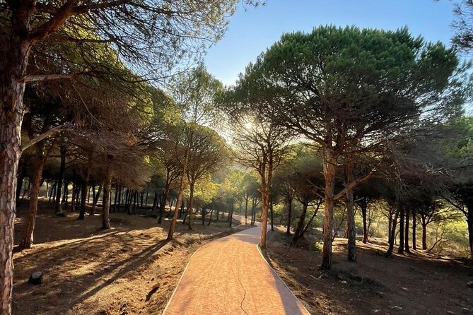 Private Tangier Tour from Ferry or Cruise Ship Including Lunch - Mendoubia Garden to the Kasbah: Green Pause, Then Old Streets With a View