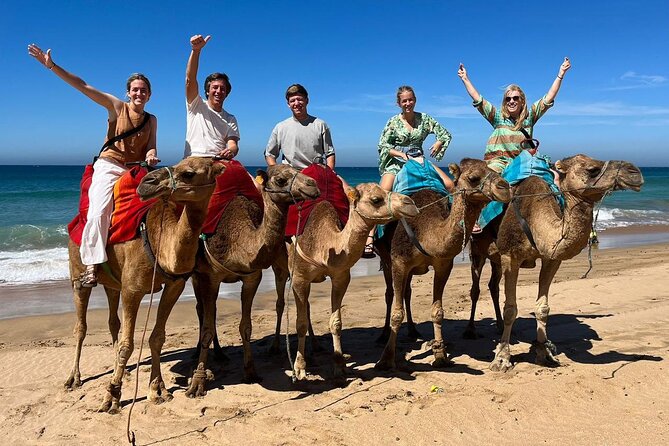 Private Tangier Tour from Ferry or Cruise Ship Including Lunch - Museums and Heritage Stops: American Legation Costs Extra, Synagogue Is Included