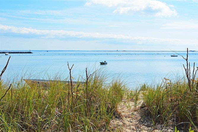 Provincetown and Cape Cod High Speed Ferry to/from Boston - Who Should Book This Ferry (and Who Should Skip It)