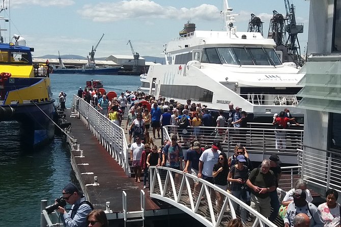 Robben Island Museum, Stellenbosch Wineries plus Ferry Tickets - Logistics That Matter: Pickup, Group Size, and Timing