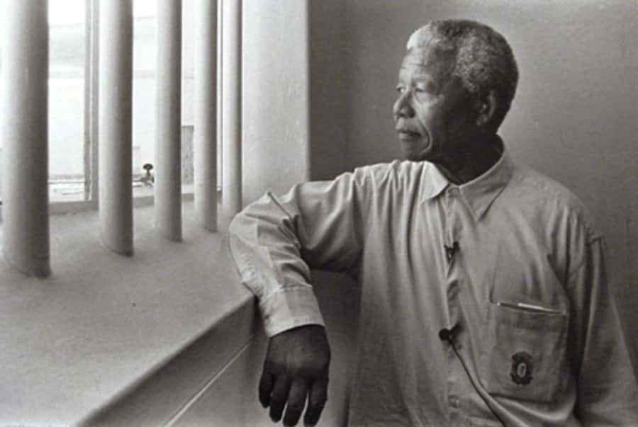 ROBBEN ISLAND MUSEUM TOUR, WITH OPTIONAL LAST MINUTE TICKETS - Meeting at the Clock Tower: where you’ll actually check in