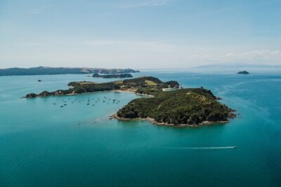 Rotoroa Island Ferry - from Auckland - Rotoroa Island’s Predator-Free Story (and What to Expect)