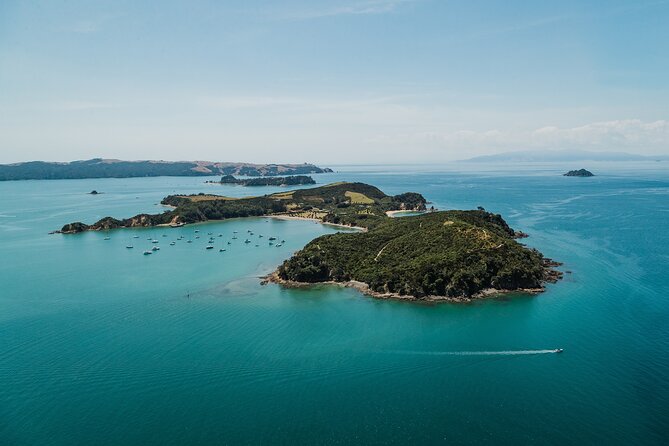Rotoroa Island Ferry - from Auckland - Rotoroa Island’s Predator-Free Story (and What to Expect)