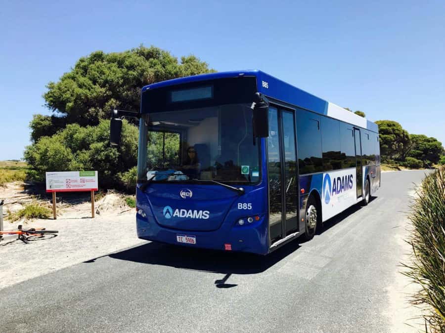 Rottnest Grand Island Package with Ferry, Tour & Light Lunch - A 7–9 Hour Rottnest Day That Actually Runs Like a Plan