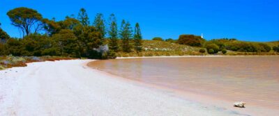 Rottnest Grand Island Package with Ferry, Tour & Light Lunch - Ferry From Perth or Fremantle: The Shortcut to Island Time