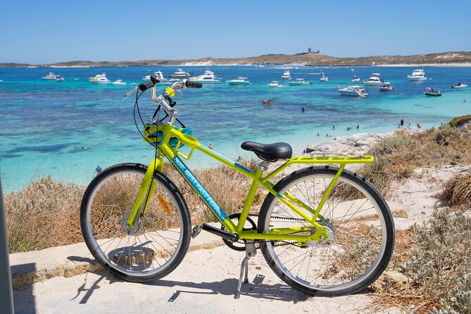 Rottnest Island Fast Ferry from Hillarys Boat Harbour Including Bike Hire - Key Highlights You’ll Actually Feel