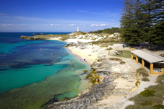 Rottnest Island Fast Ferry from Hillarys Boat Harbour Including Bike Hire - Ferrying From Hillarys: A Day Trip That Starts Moving